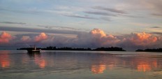 Break of dawn: Fisherman start their day early during the recent Widi International Fishing Tournament (WIFT) 2017. JP/ PJ Leo