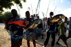 Thrice is nice:The crew of a competing team show off their catch. JP/ PJ Leo