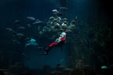 A man dressed as Santa Claus dives in the Paris aquarium on December 21, 2017. AFP/Alain Jocard