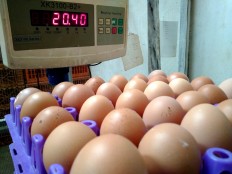 The eggs are being weighed. JP/Ganug Nugroho Adi