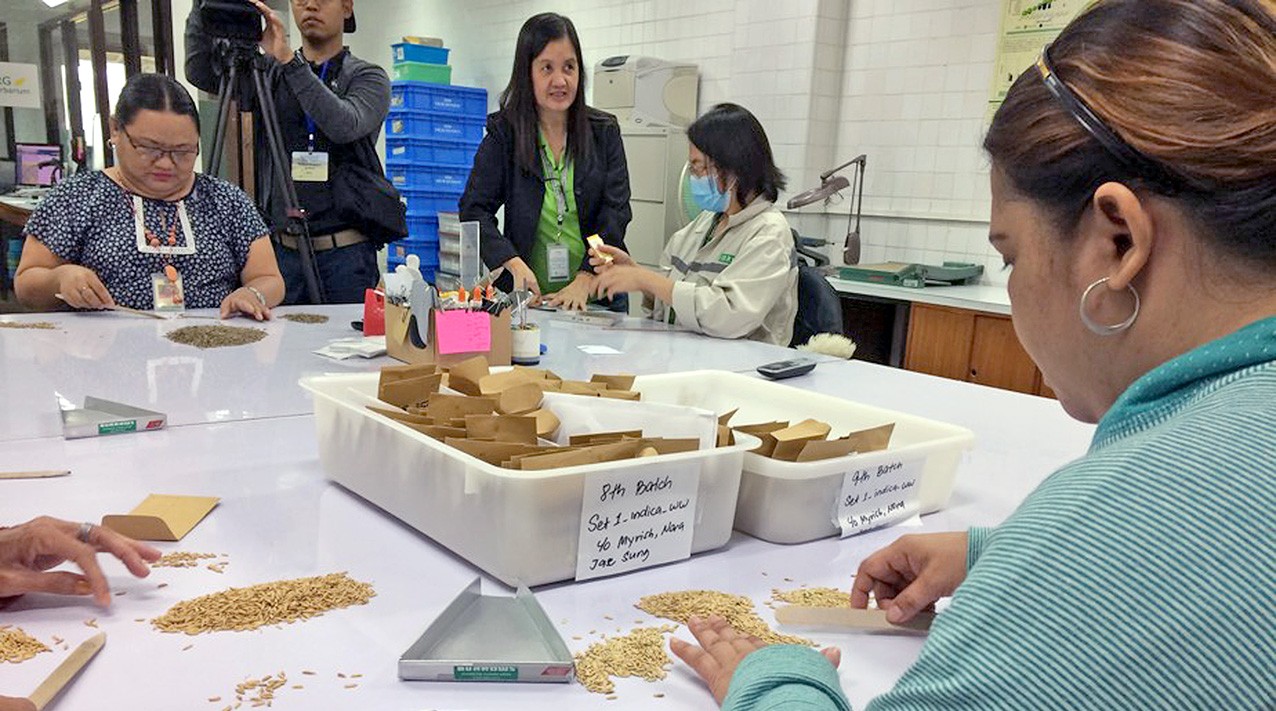 GMO in times of shrinking land