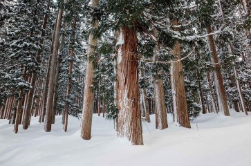 Shirakawa-gō, where prayer meets architecture