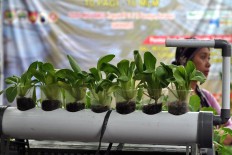 A workshop on verticulture, which enables people to plant food vertically to overcome limitations of space, was also part of the festival. JP/Magnus Hendratmo