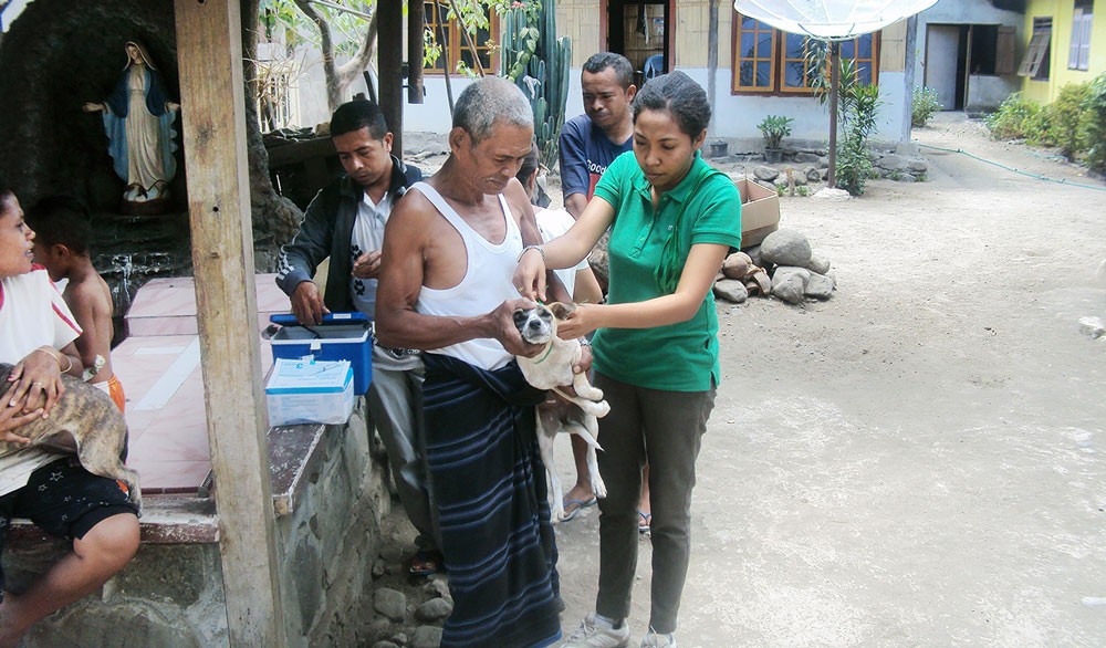 Rabies in the land of dog-meat lovers