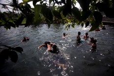 Swimmers are viewed from under the shade of a banyan tree. JP/Boy T. Harjanto