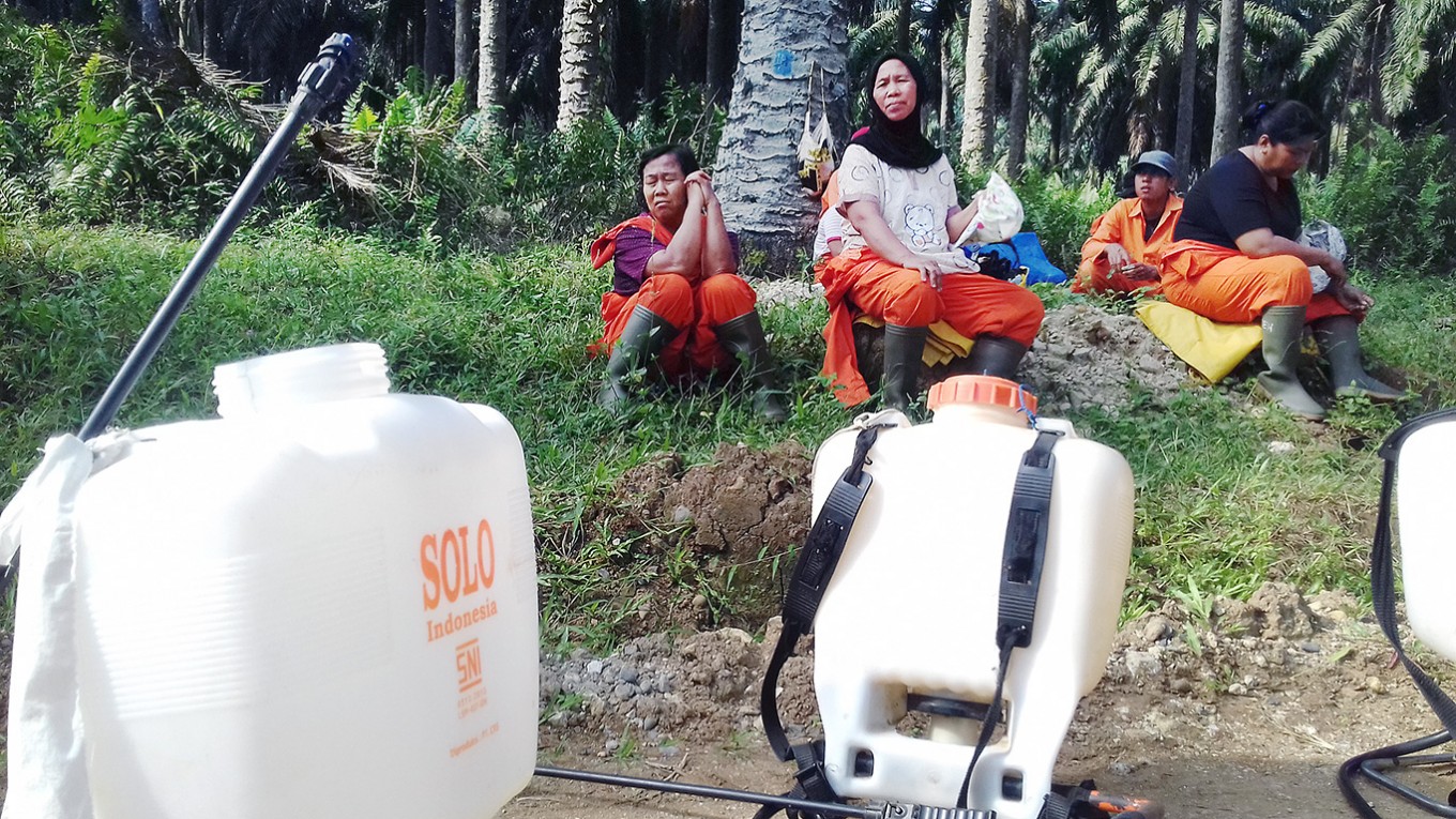 Too much pesticide on plantations