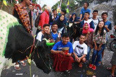 For the memories: Young villagers pose together for a photo beside a decorated cow. JP/Maksum Nur Fauzan