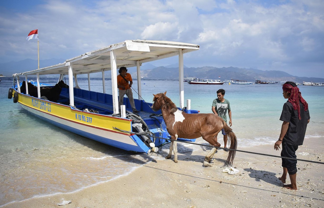 Villagers attempt to transport their horse from Gili Trawangan islet following the aftermath. Horses are usually used to draw carriages. Antara/Ahmad Subaidi