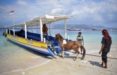 Villagers attempt to transport their horse from Gili Trawangan islet following the aftermath. Horses are usually used to draw carriages. Antara/Ahmad Subaidi