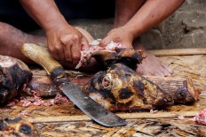 Fair shares: A man from Bonokeling tribal community cuts a goat head into tiny pieces after skinning it using fire. JP/Kukuh Sukmana Hasan Surya