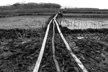A different look at Gajah Mungkur Dam