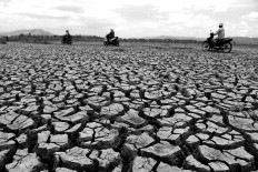 Motorists can ride their motorbikes through the broken land in the Gajah Mungkur dam. JP/Maksum Nur Fauzan