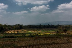 The view of paddy fields after harvest in Beji village, Ngawen district, Gunungkidul regency, Yogyakarta. JP/Anggertimur Lanang Tinarbuko