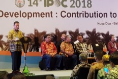 Expanding palm oil exports without neglecting existing markets