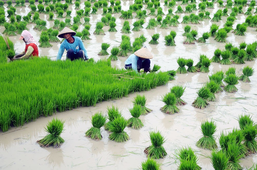 Why is food self-sufficiency unachievable?