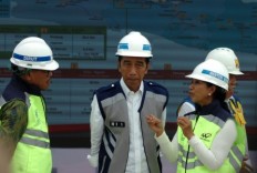 From oil spill to massive blackout, is Jokowi’s statist strategy in trouble?