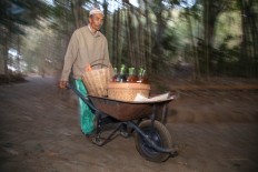 Kambali pushes his cart filled with bottles of jamu (herbal medicine) to the Papringan market in Ngadiprono village. The jamu was sold by his wife on Sunday. JP/P.J.Leo