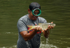 Got it: An Aur Kuning villager shows off his catch. JP/Tarko Sudiarno