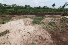A well digester needs a lot of space. JP/Maksum Nur Fauzan