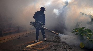 Dengue fever: Rainy season emergency