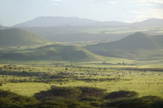 Camera spots Kenya's rare black panther