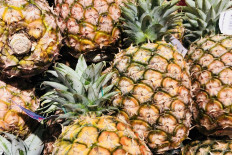 Fruit exports, removing the core problem