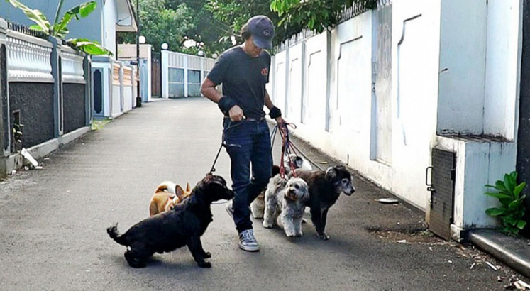 Dog walkers: Lifesavers for busy Jakartans