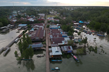 Women of Teluk Bintuni and their mangroves