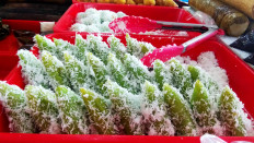 Sweet and tasty: One of the most popular takjil delicacies is the lupis (sugary rice with grated coconut). JP/Budi Sutrisno