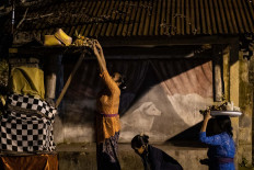A Balinese woman places an offering at the venue of the Sangyang Dedari performance. JP/Agung Parameswara