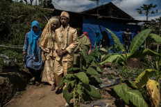 A newly married couple, resplendent in gold, departs a house in Bakalan and walk through a tobacco field after their wedding day luncheon with family and friends. JP/Dottie Bond