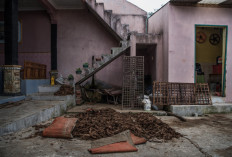 The workers had gone home; the cutting and processing machines had stopped whirling; a pile of tobacco dries. JP/Dottie Bond