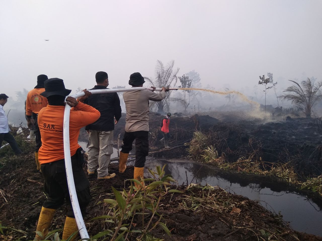 Officials from Safe and Rescue office in Jambi try to put out fire in the region. Thick smog from a series of peatland fires across Jambi has started to affect everyday life in the province.