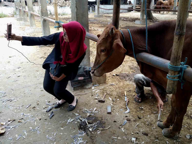 ‘Cow salon’ welcomes Idul Adha