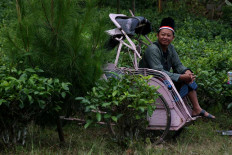 A resident is seen on a becak (pedicab) with a red and white cloth wrapped around his head. JP/Maksum Nur Fauzan