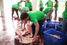 An attendant cuts qurban (sacrificial) meat at Istiqlal Mosque in Central Jakarta on Sunday. The cutting process used both a conventional technique and meat cutters. JP/Syelanita