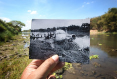The remains of the aircraft are tied to the riverbank with steel wires to prevent it from being dragged away by the river’s heavy current. JP/Boy T. Harjanto