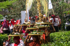 Villagers pass through a tea plantation while carrying tumpengan (food served in cone-like shape).  JP/Maksum Nur Fauzan