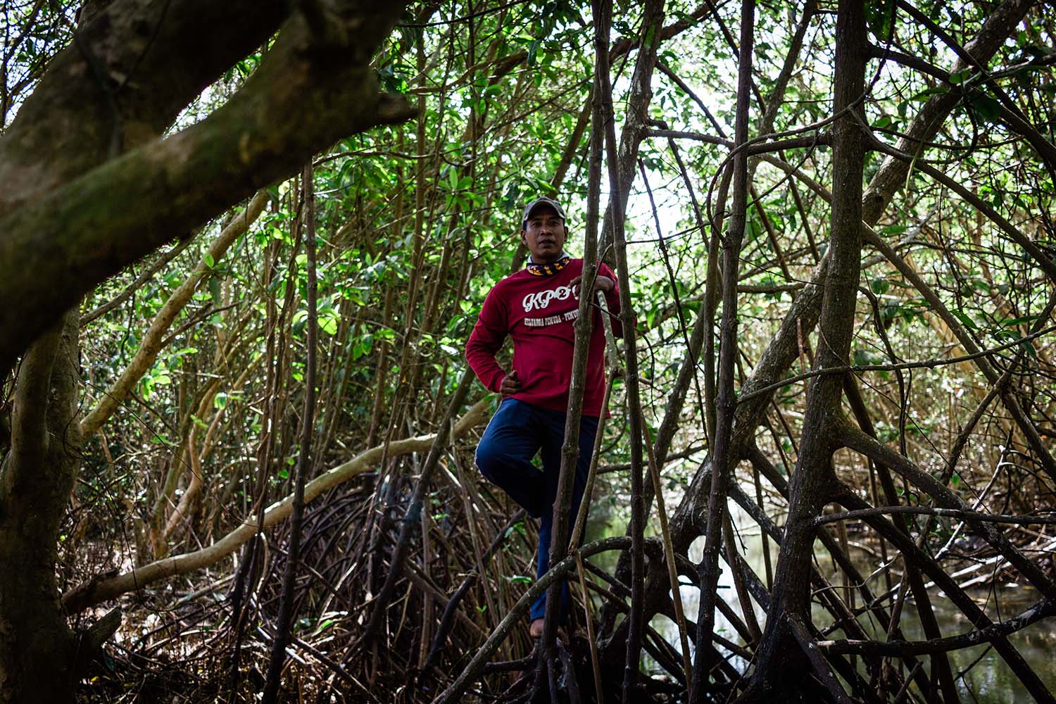 Antarmoro poses among the strong mangrove roots. JP/Anggertimur Lanang Tinarbuko