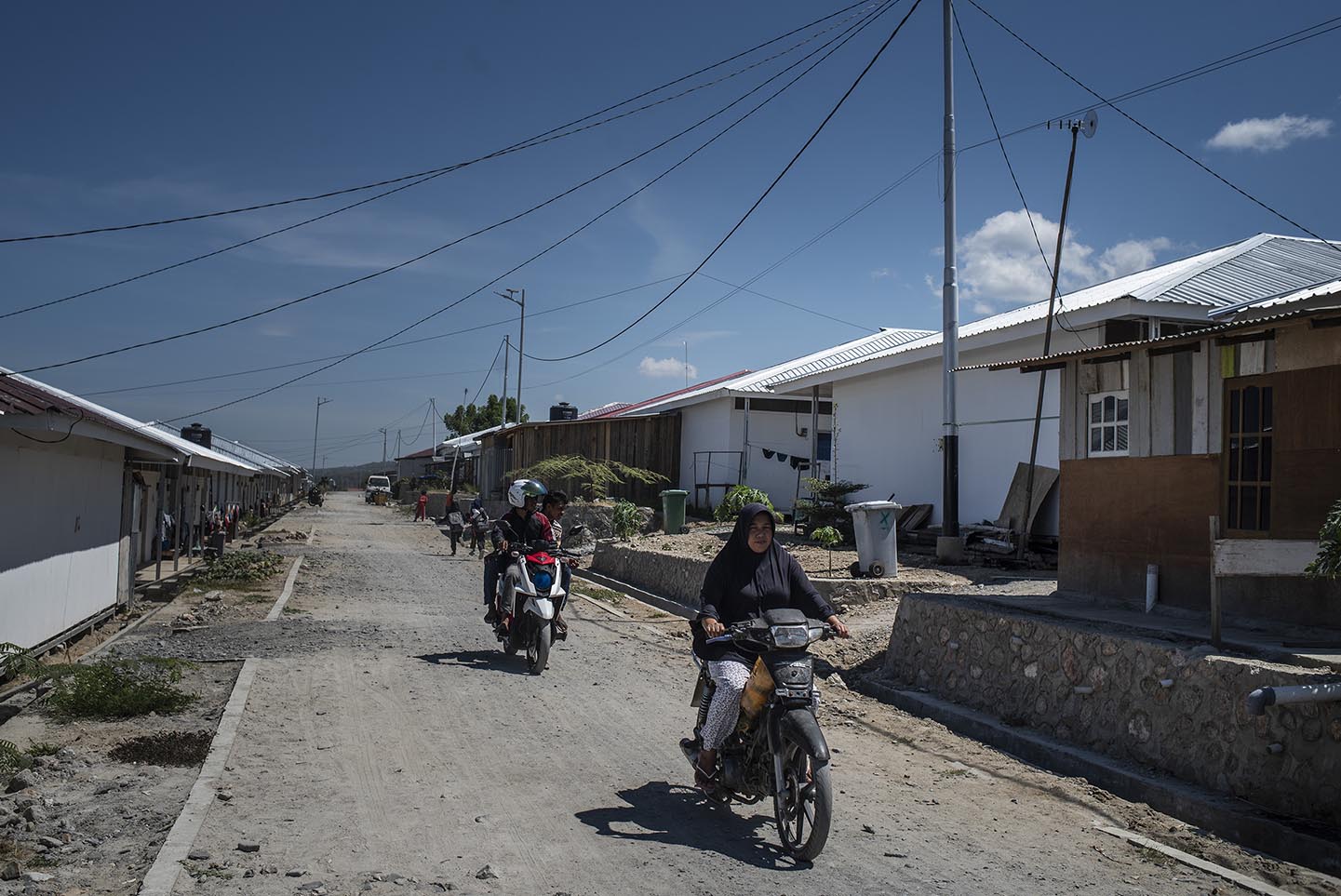 Shrubs grow in Petobo village, which was struck by soil liquefaction in September 2018. JP/Rosa Panggabean