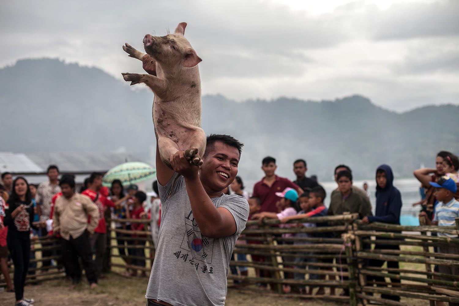 People of Lake Toba hold celebration of pigs and pork
