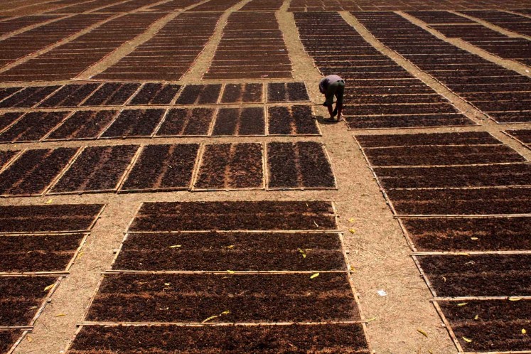 Magelang tobacco village endures amid price drop