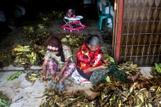 Tobacco leaves are sorted after being harvested. JP/Maksum Nur Fauzan