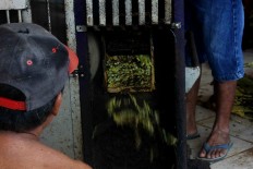 A machine used to cut tobacco leaves. JP/Maksum Nur Fauzan