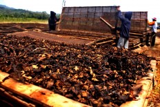The drying process takes one to two days, depending on the weather. JP/Maksum Nur Fauzan