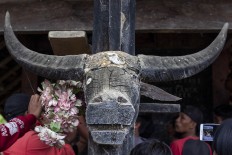 A miniature of a buffalo head is placed in front of an alang. JP/Yusuf Wahil