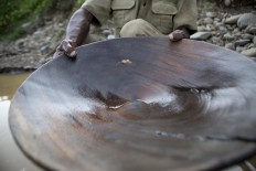 Mendulang, a traditional method of gold mining. JP/Ramadhani