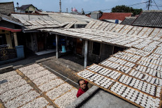 Hundreds of crackers are dried in the sun. JP/Afriadi Hikmal