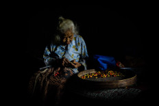 Sarinem removes seeds from the melinjo fruits.  JP/Anggertimur Lanang Tinarbuko