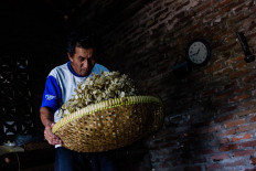 Waljinem's husband, Margono, sifts the flattened melinjo seeds.JP/Anggertimur Lanang Tinarbuko